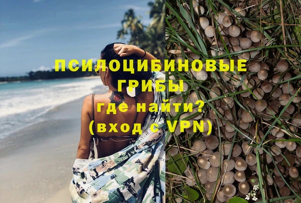 прущая мука Абинск