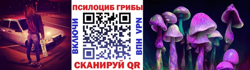 Псилоцибиновые грибы ЛСД где купить наркоту Электроугли